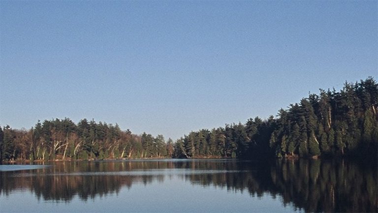 Panoramic view of a tranquil lake with a mirror-like surface reflecting the surrounding dense forest