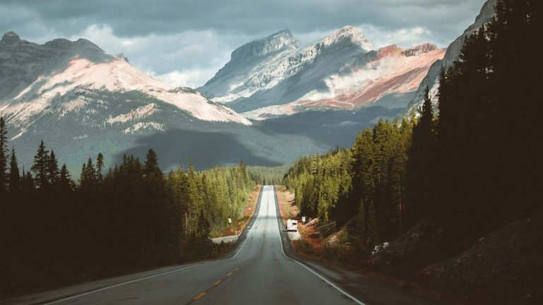 gray concrete road between green trees and mountains during daytime